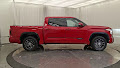 2022 Toyota Tundra 4WD Platinum