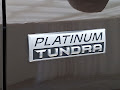 2019 Toyota Tundra 4WD Platinum