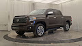 2019 Toyota Tundra 4WD Platinum