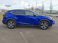 2020 Lexus NX NX 300 F SPORT