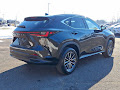 2025 Lexus NX NX 350 Premium