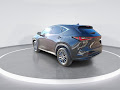 2025 Lexus NX NX 350 Premium